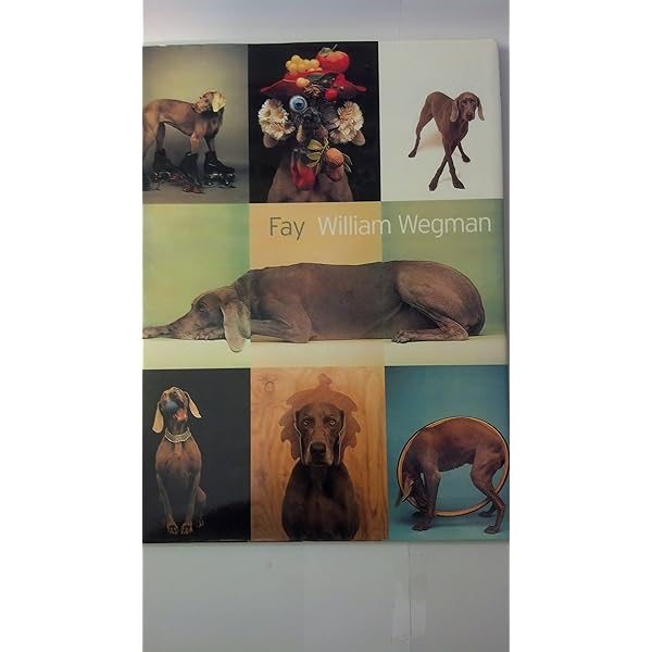 Amazon | Man's Best Friend | Wegman, William | Collections